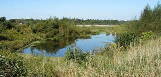 Florida Everglades to undergo $880M wetlands restoration initiative