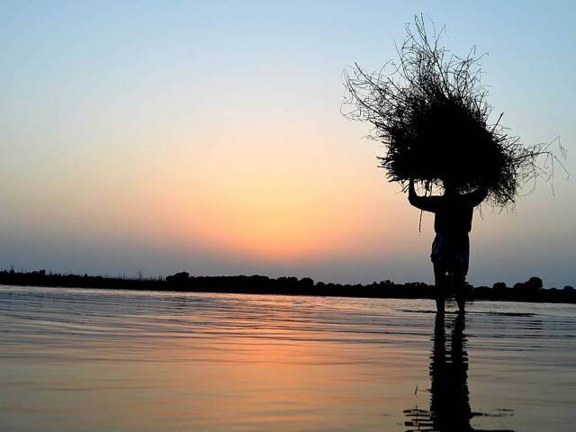 UN FAO Urges Natural Water Resources’ Security