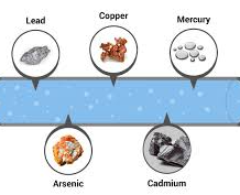 Technology for purifying water and highest heavy metal recovery