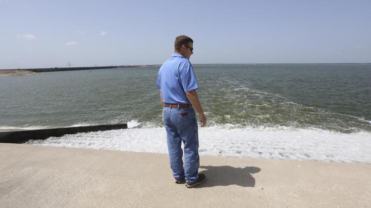 Wetlands Turn Wastewater Into Tap Water