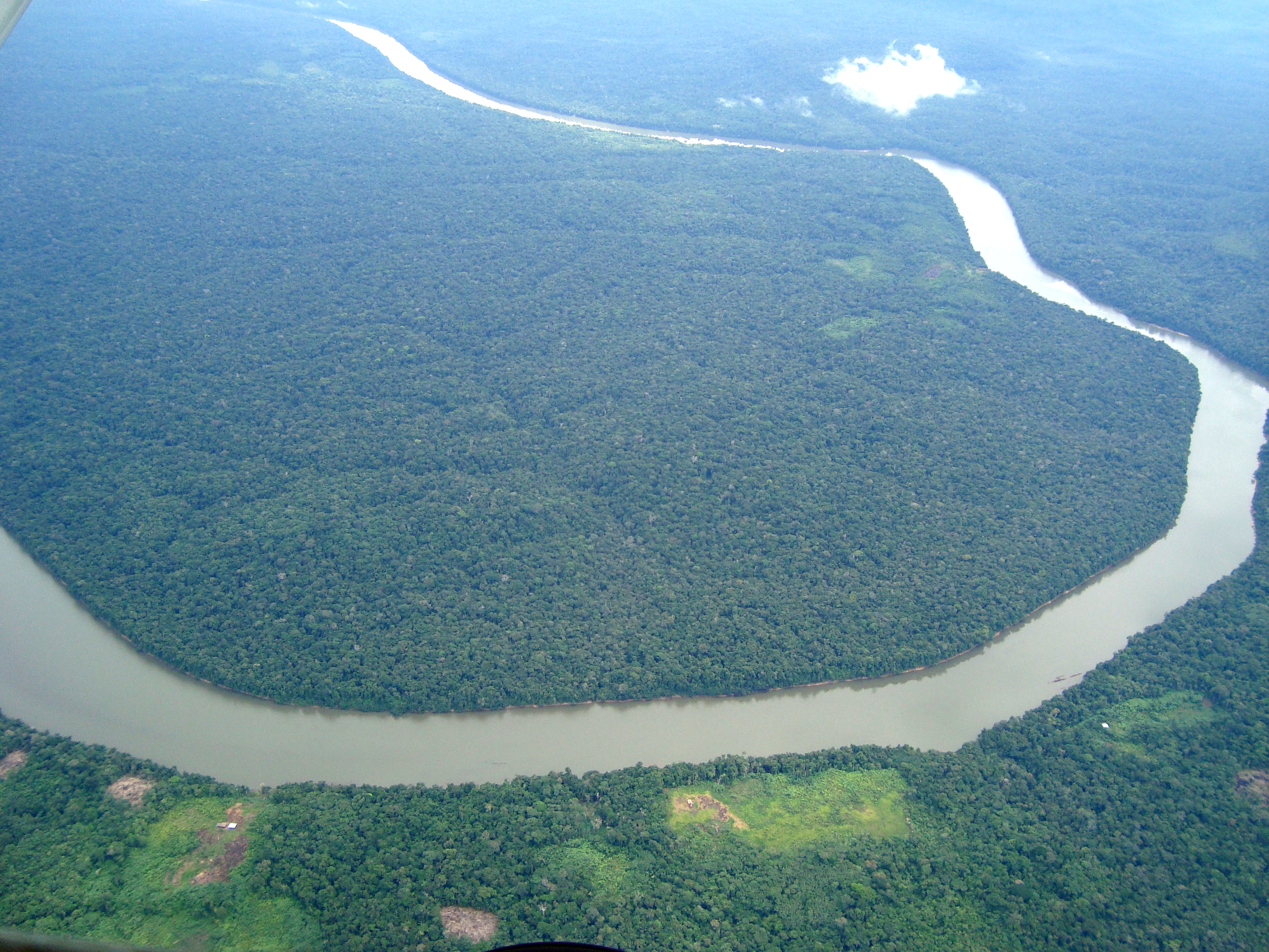 Modeling Amazonian Transitional Forest Micrometeorology
