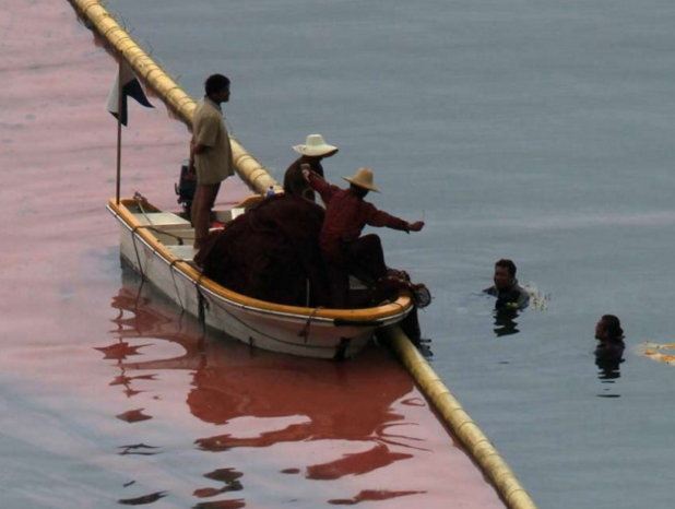 Fish farmers claim red tides worst ‘unnatural disaster’ to hit industry in years