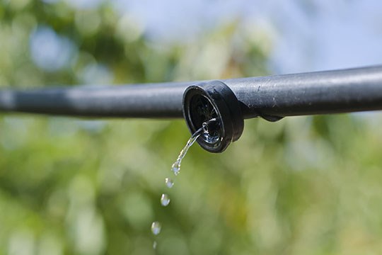 China Buys Israeli Irrigation Company