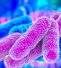 Dutch Scientists Discover Favorable Conditions for Growth of Legionella​