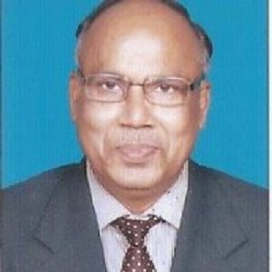 VBS  Reddy,  Lybar Capital and Exports - Director