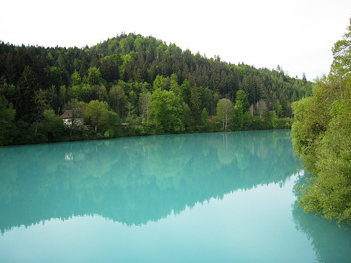 Only 1 in 10 Alpine Rivers Healthy