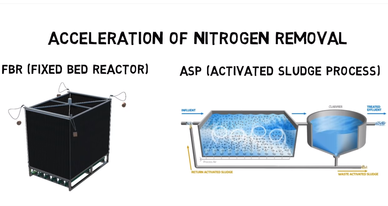 Increase Nitrogen Removal (Video Tutorial)
