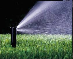 Profitability of Sensor-based Irrigation in Greenhouse 