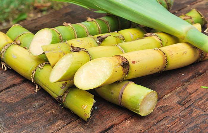 What Is Sugar Cane Used For