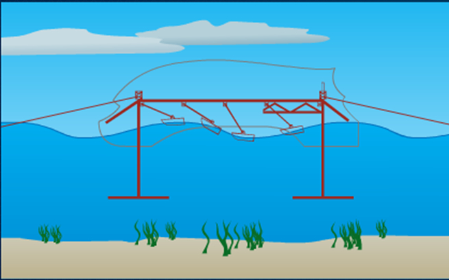 Israelis to Harvest Waves in America