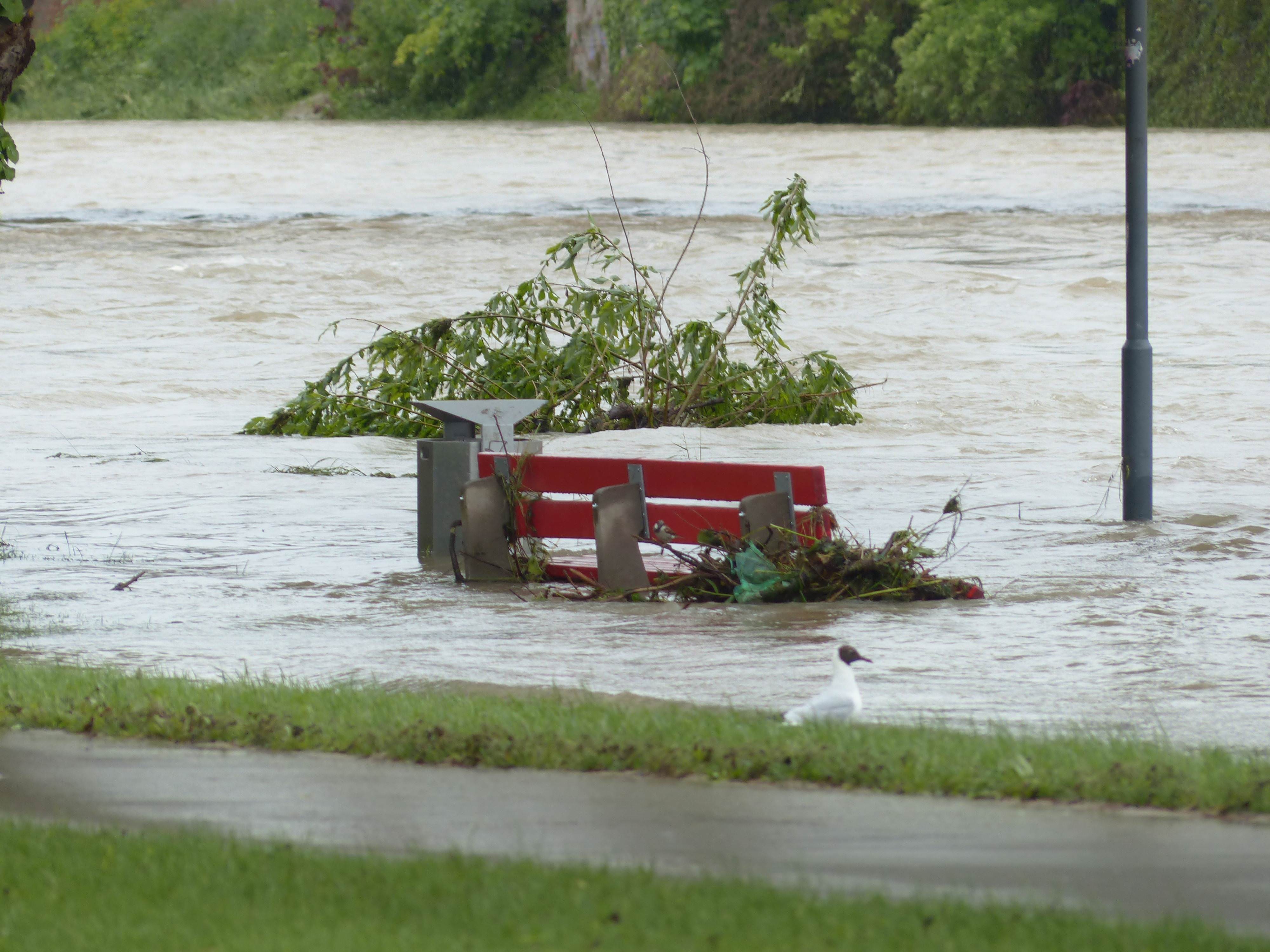 River Flood Risks Increase Around the Globe Under Future Warming