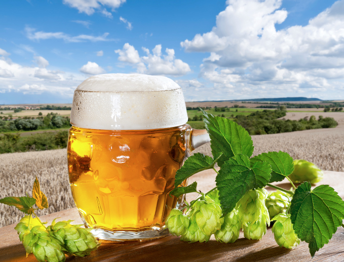 Water Regulation for Beer Industry