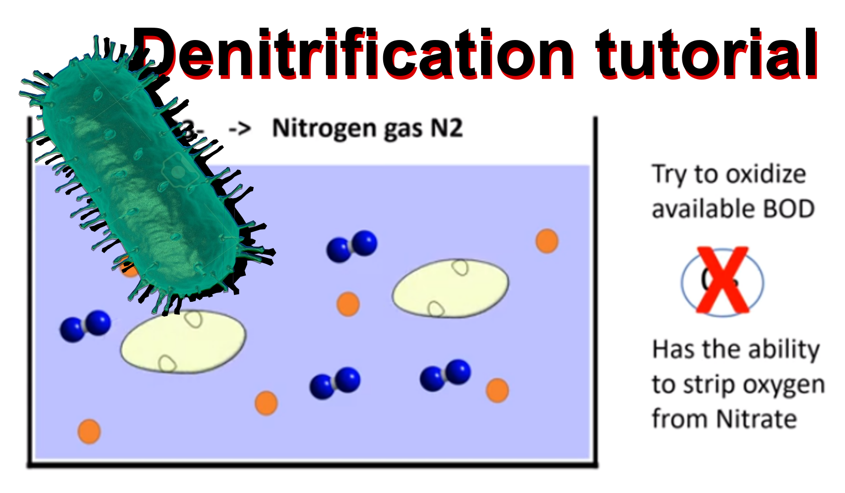 ammonia-removal-from-wastewater-restore-nitrification