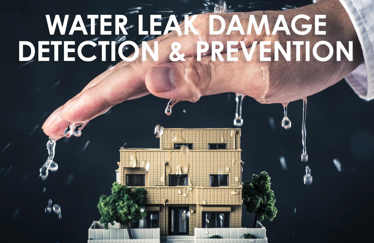 Leading IoT and Insurance Companies Partner on Smart Water Leak Prevention Pilot Project