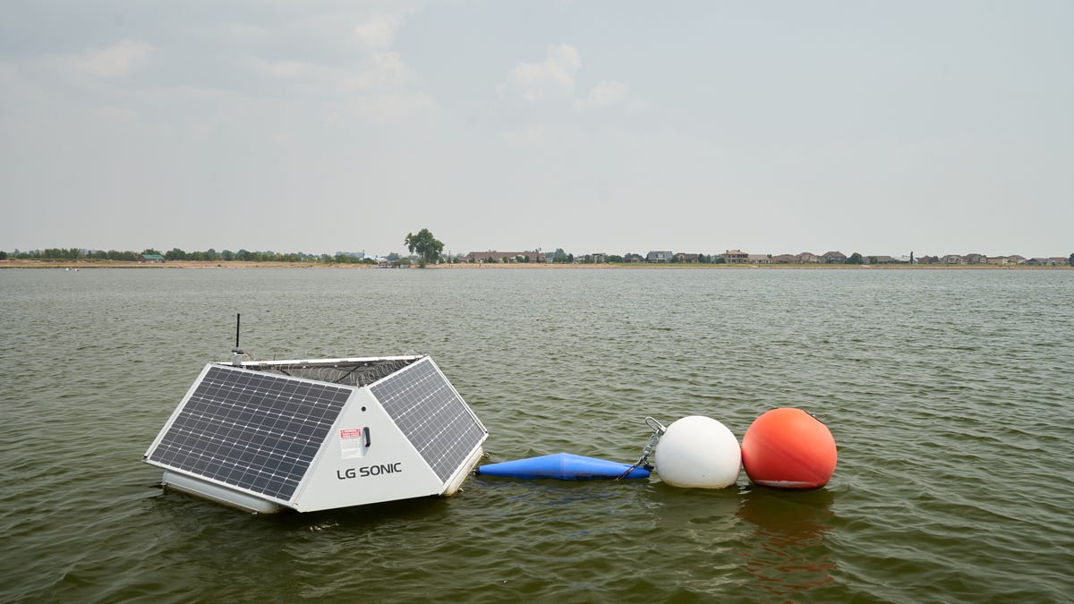 How high-tech buoys are being used in Windsor to combat algae bloomsHow high-tech buoys are being used in Windsor to combat algae bloomsIGNACIO ...