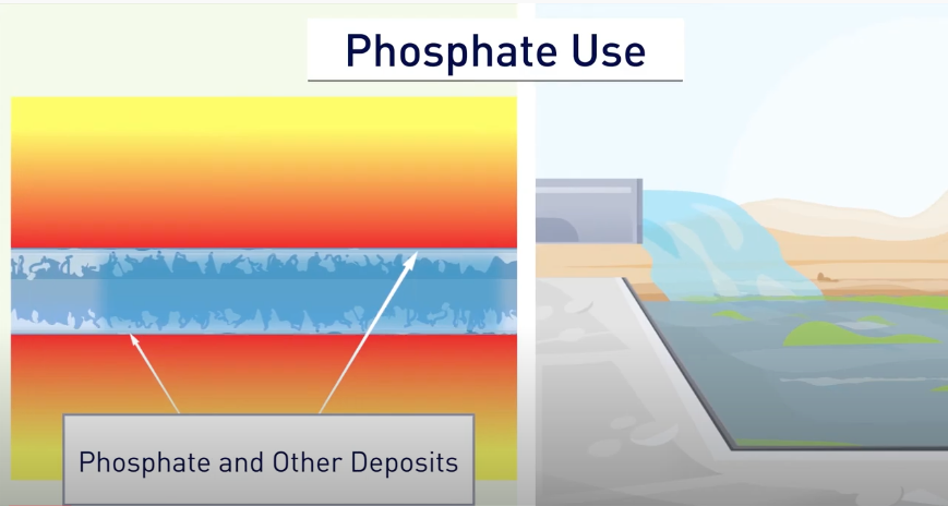 How does E.C.O.Film non-phosphorus cooling water treatment work? | SUEZ
