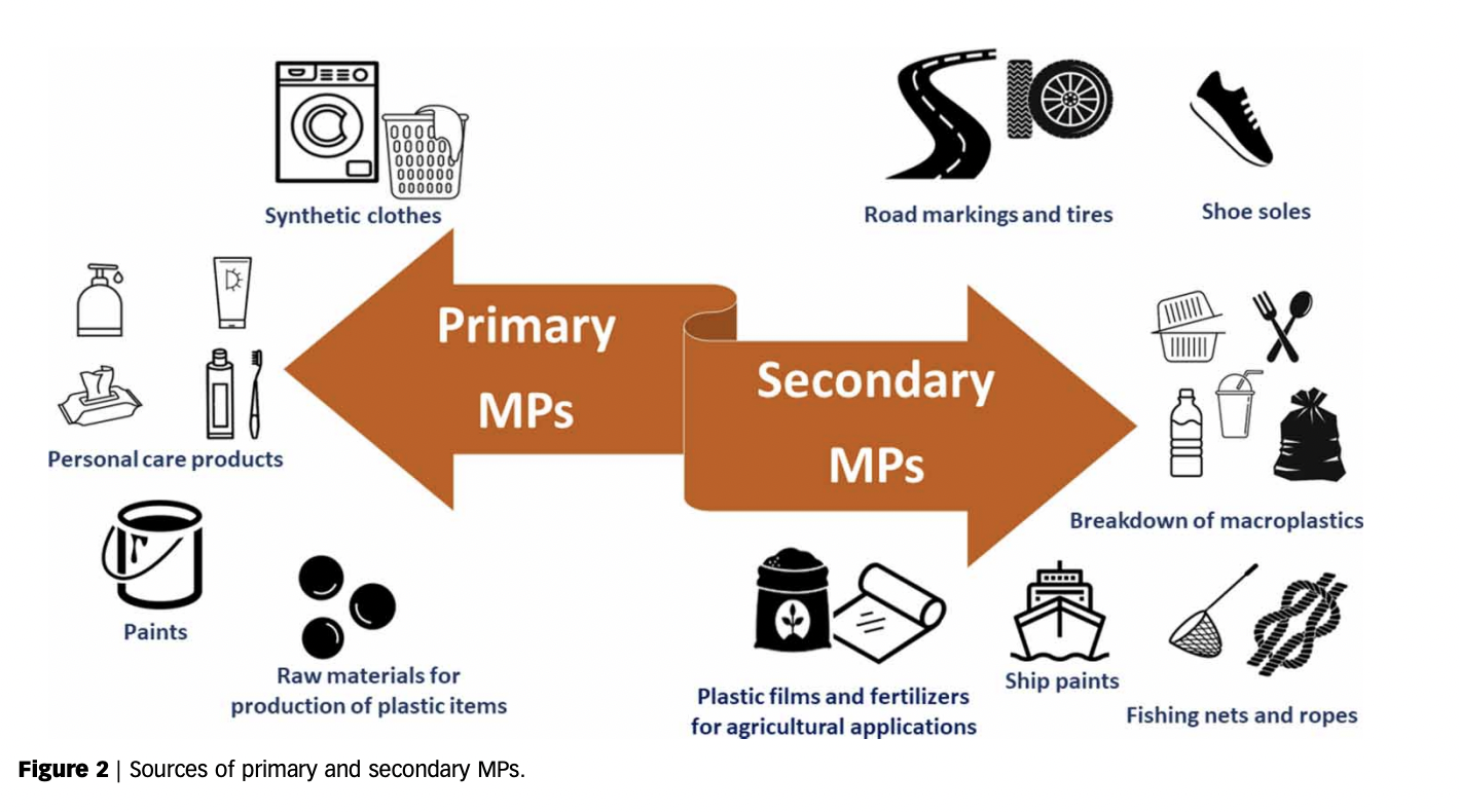 Microplastics in WWTPs: Sources, properties, removal efficiency, removal mechanisms