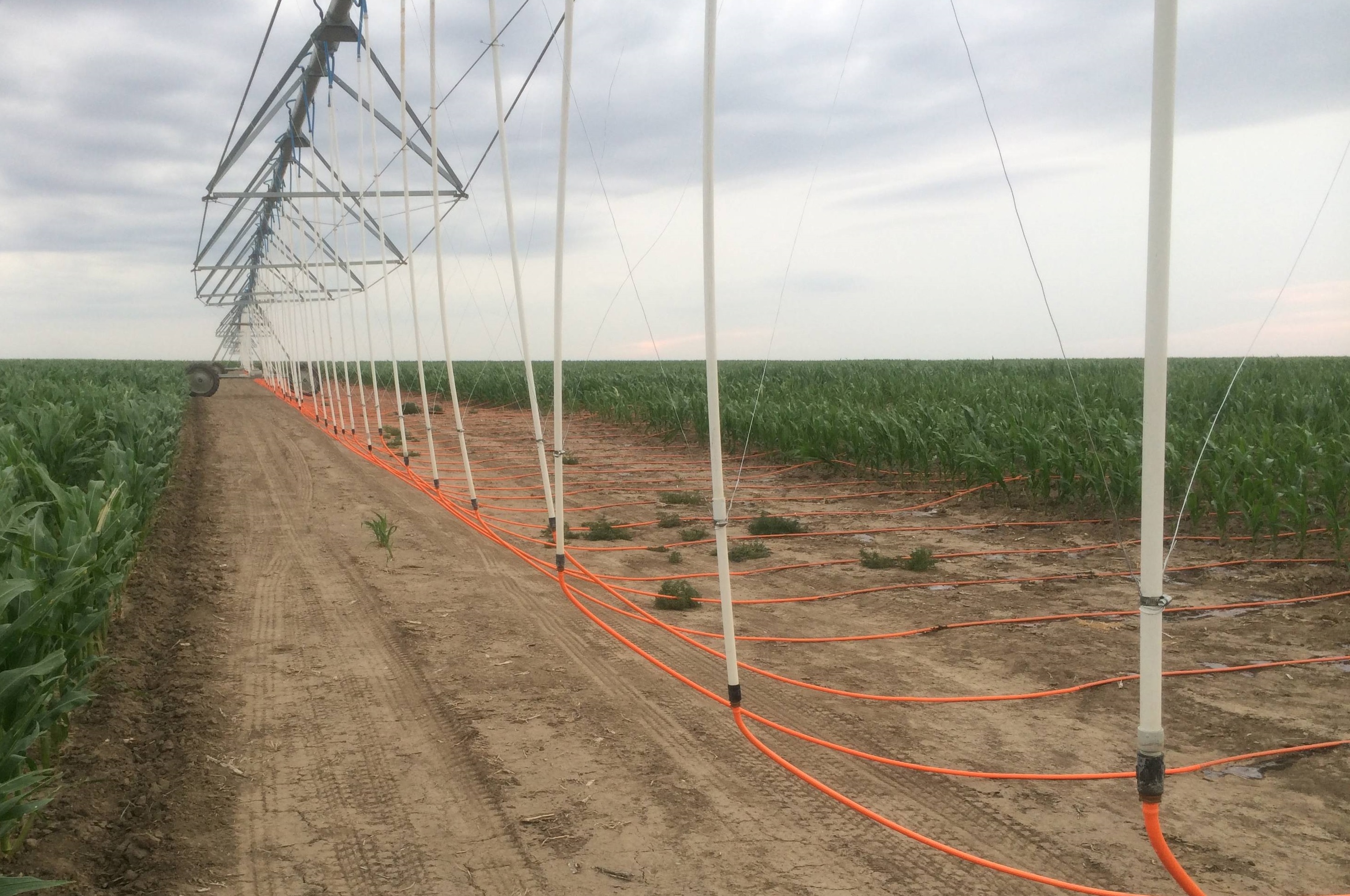 Water ​Technology ​Farms in Kansas