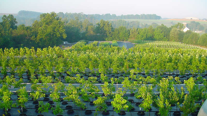 The Economic Case for Watershed Restoration