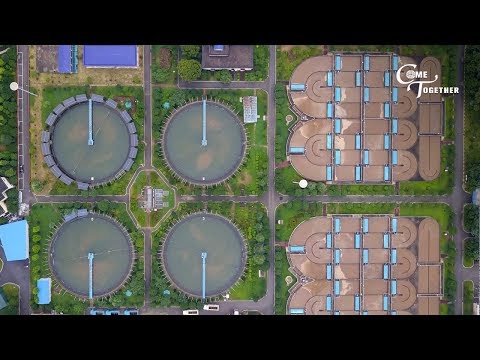 World Cities Day: AI Empowers Urban Wastewater Treatment in China (Video)
