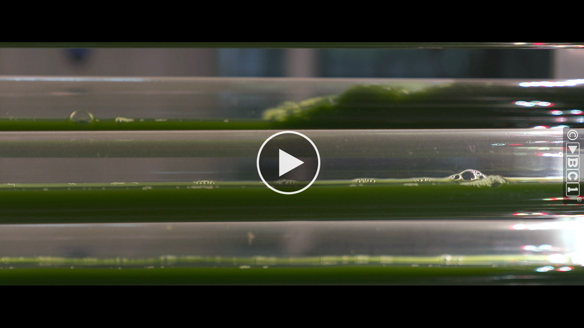 Transform the green waste stream into biogas while applying an innovative approach to utilize the CO₂ emissions from production as a nutrient ...
