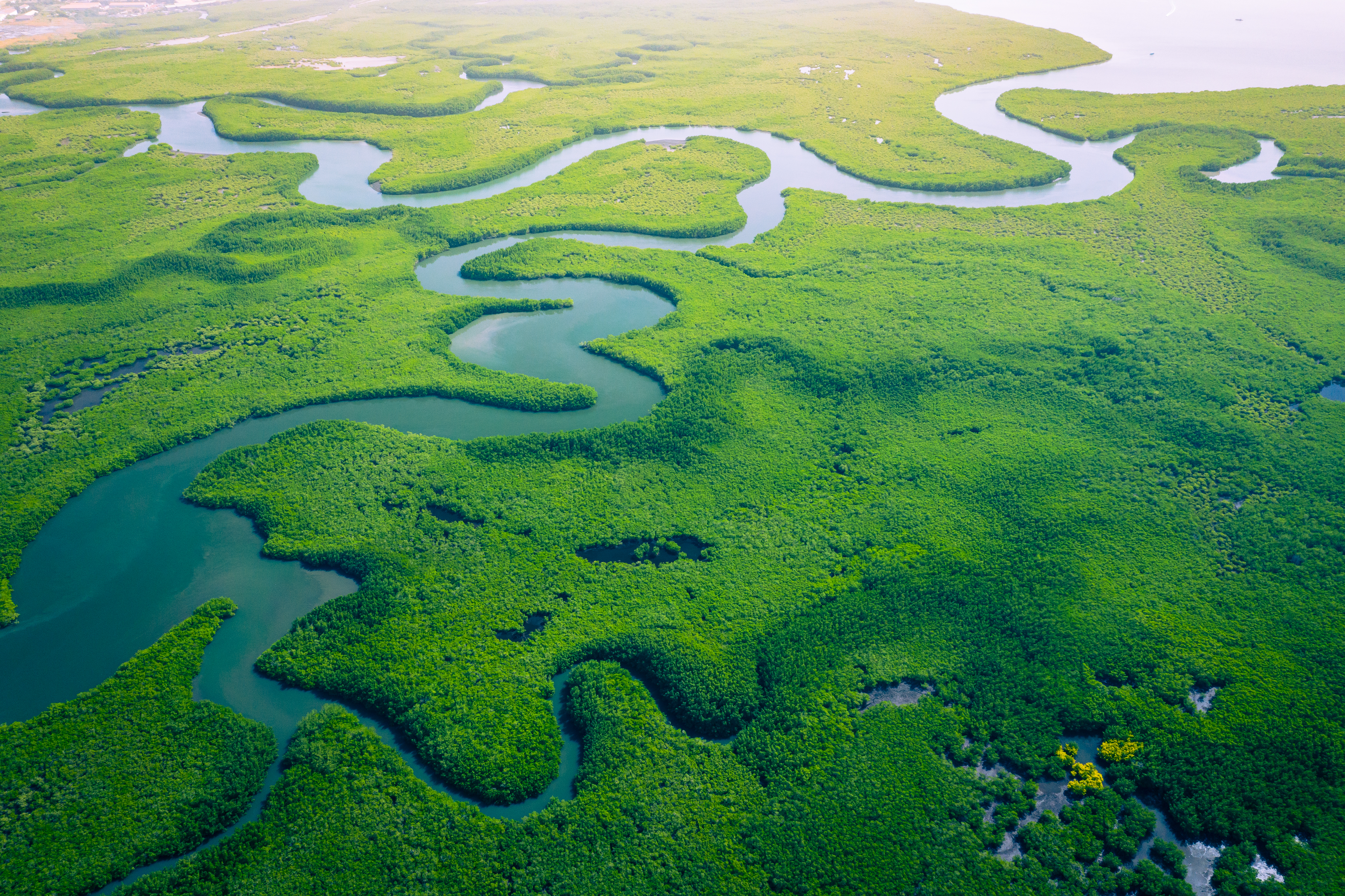 Water sector must invest in our planet