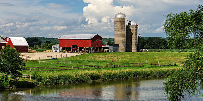 How much does that fertilizer REALLY cost? - Institute on the Environment