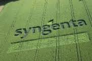 Syngenta Receives Chinese Import Approval