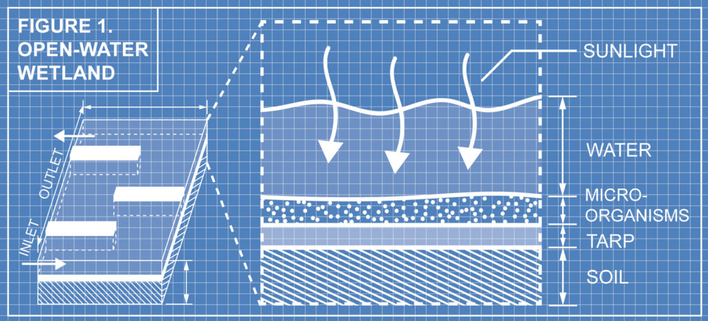 Nature’s Water Filter - The Berkeley Science Review