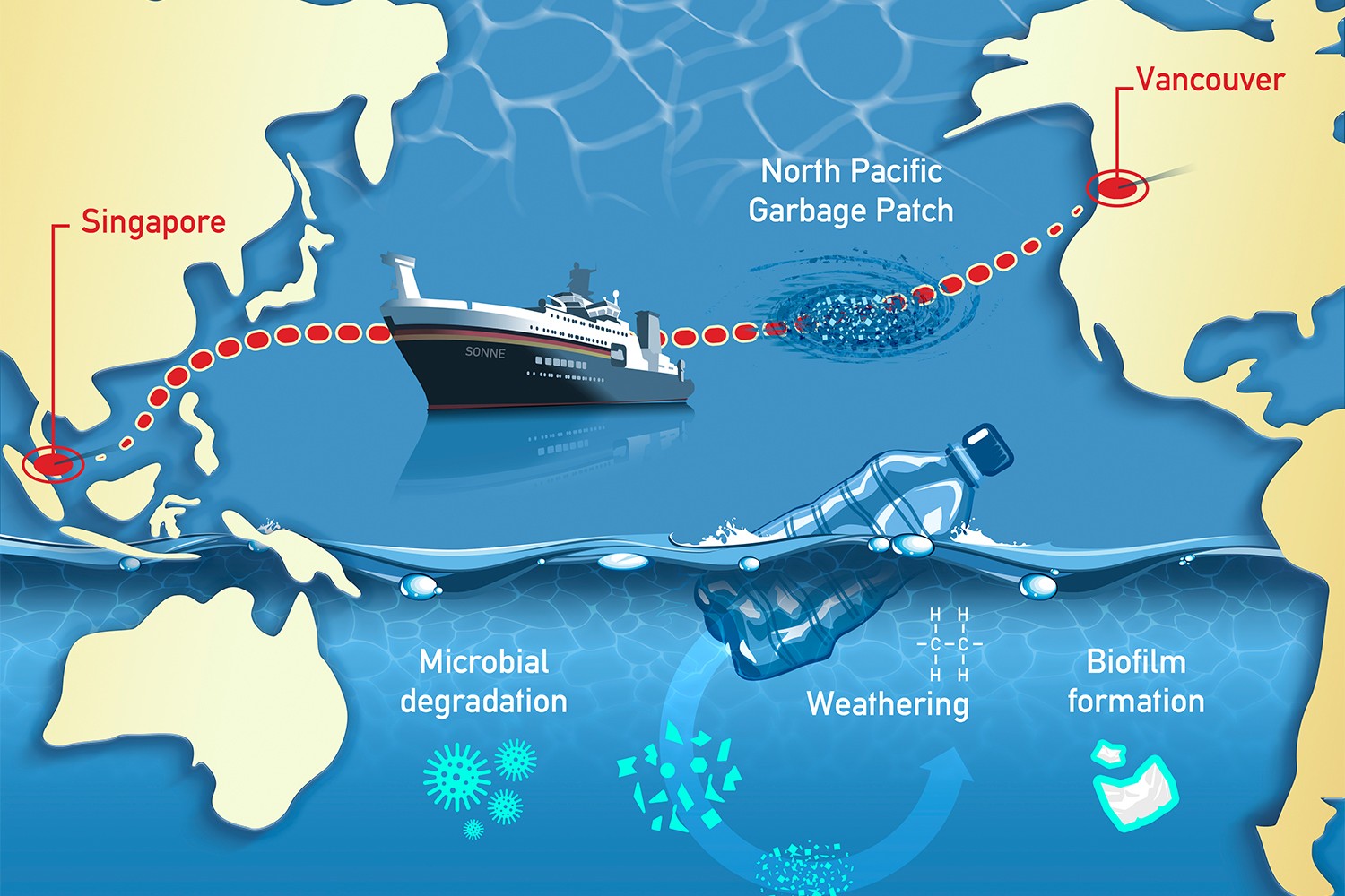 This Project Explain Occurrence and Fate of Microplastic in the Marine Environment