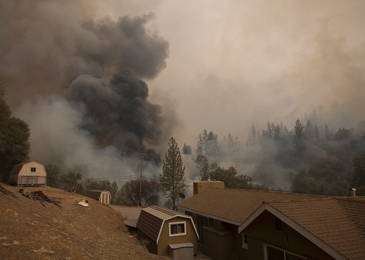 Drought-Stricken California Lifted Its Water Restrictions