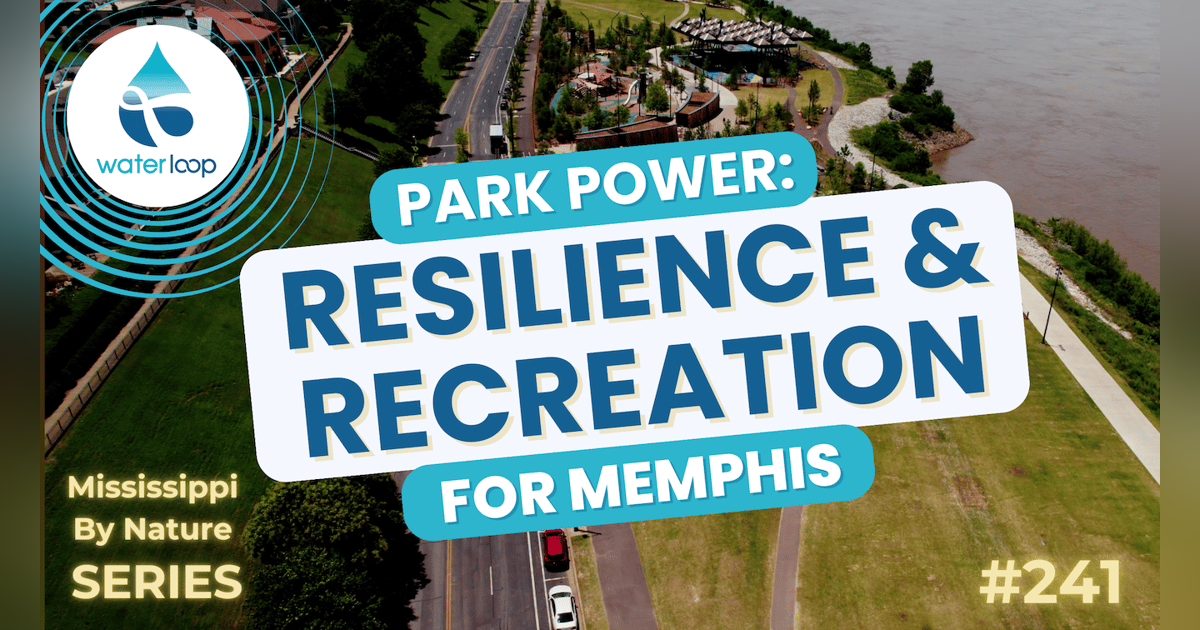 Park Power: Resilience & Recreation For Memphis