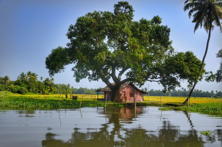 India-UK team tackles Antimicrobial Resistance spread in waterwaysBritish and Indian experts are joining forces to investigate the impact that r...