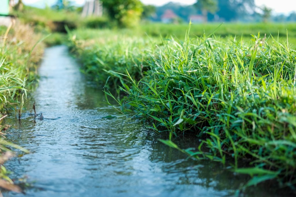 Managing groundwater in a shifting climate: The TOPSOIL project - RSA RegionsTOPSOIL helps to future-proof groundwater management in the North S...