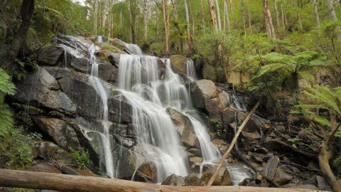 Grants for Bushfire recovery in NSW