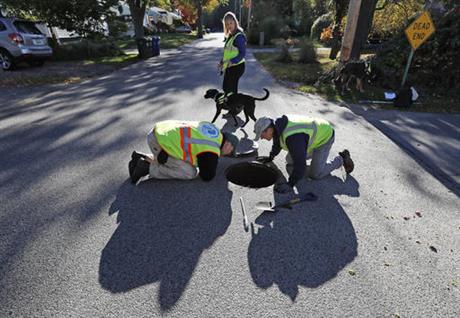 Looking Out for No. 2: Dogs Sniff Out Fecal Pollution