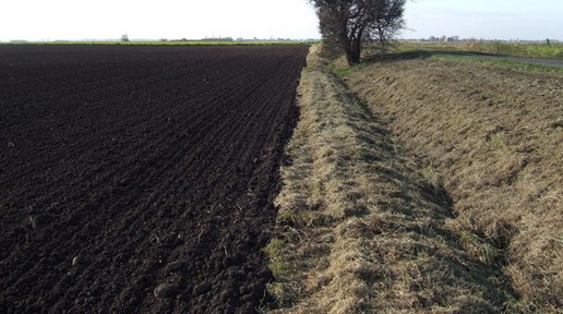 Rapid Method for Water, Soil Pathogen Screening Developed