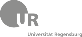 The university of Regensburg