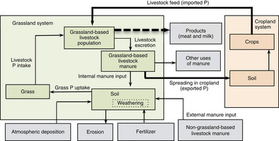 Negative Phosphorus Budgets Challenge Sustainable Intensification of Grasslands