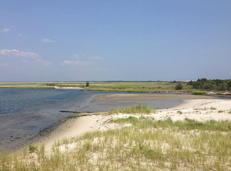 Barnegat Bay Salt Marshes Provide Millions of Dollars of Water Treatment for Free – For Now