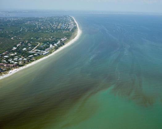 Ron DeSantis Signs Florida Red Tide Mitigation and Technology Development Initiative