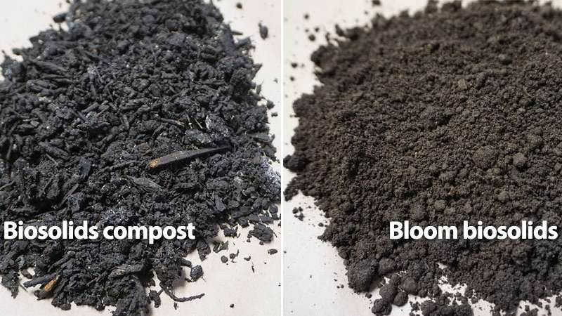 Nitrogen from Biosolids Can Help Urban Soils and Plant Growth