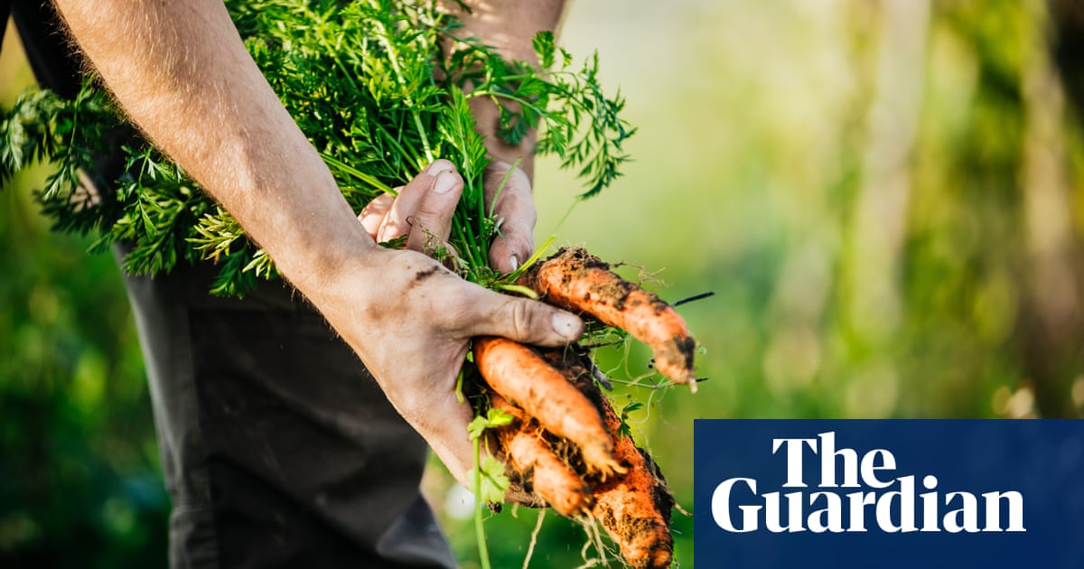 Organic farming has a vital role to play in creating a sustainable world | Letter