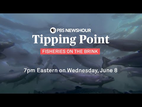 Tipping Point: Fisheries on the Brink - A PBS NewsHour SpecialAs our world surges toward a global population of 9.9 billion by the year 2050 - t...