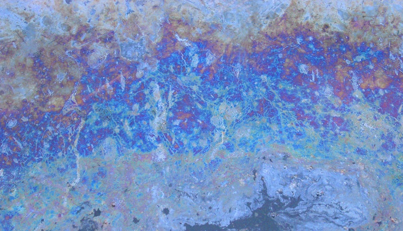 Microbes to Clean Oil Spills