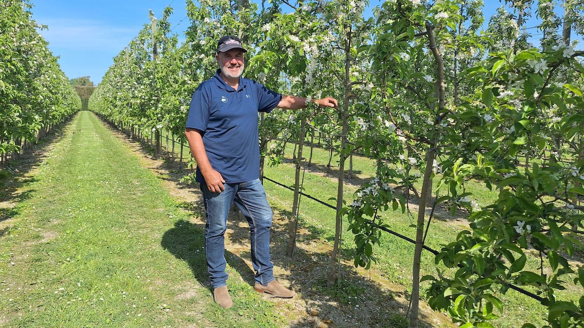 Water-efficient orchards: How tech is helping Hawke&rsquo;s Bay growersFor orchardist and Freshco director Greig Taylor there is nothing better than...