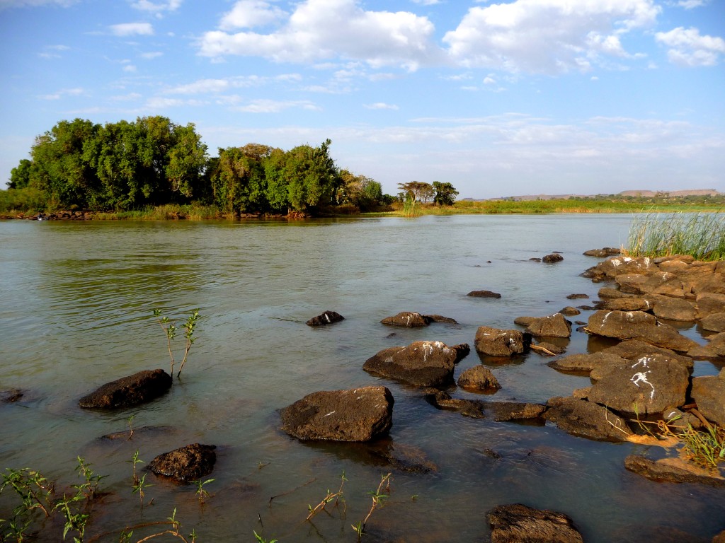 Nile Countries Cooperate on Dam, Danger for Wetlands