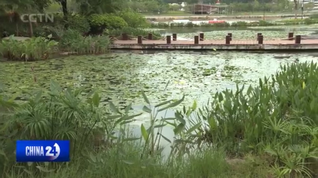 Environmental Protection: Shenzhen's most polluted river has a stunning new lookThe Maozhou River is the largest river running from southeast to...