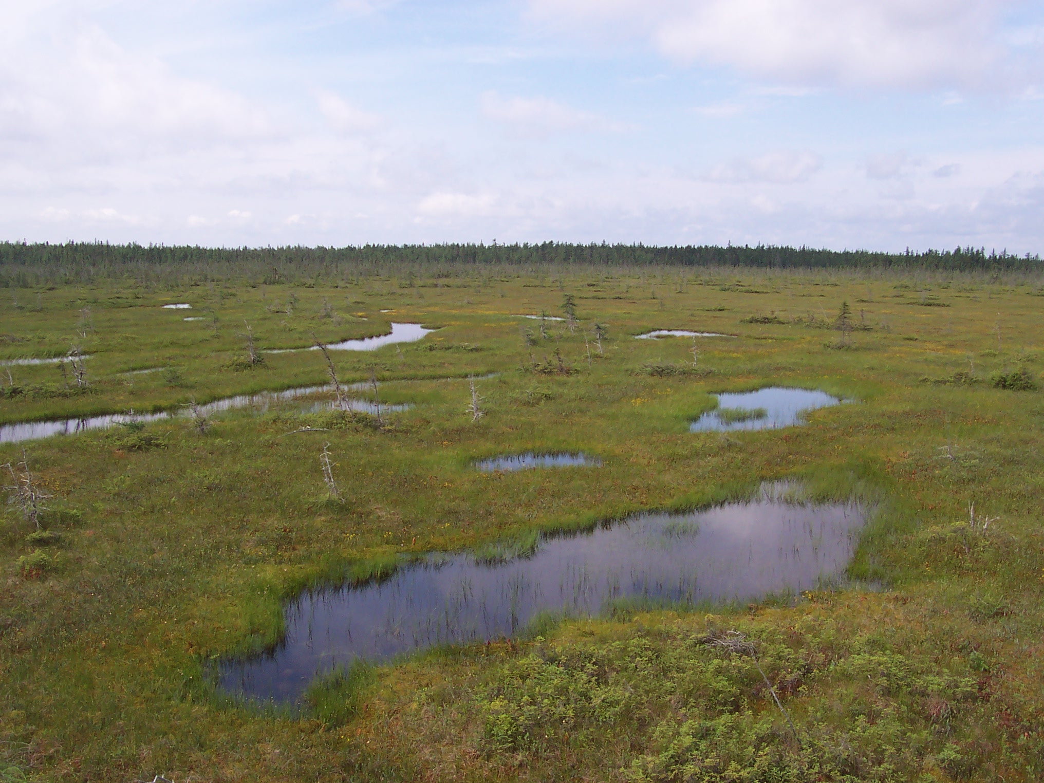 U.S. Builds Climate Resilience of Lands, Waters