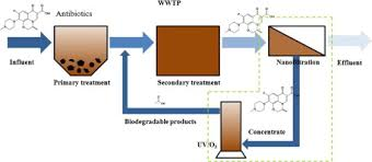 Model filter system removes antibiotics from wastewater